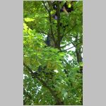 p1010145 [800x600].jpg